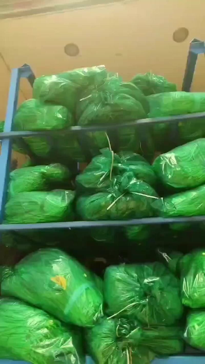 河南蒜苔，便宜，欢迎电商，市场采购，质量有保证