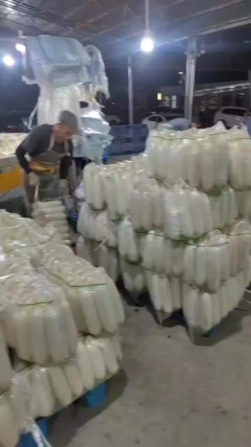 陕西，精品白罗卜