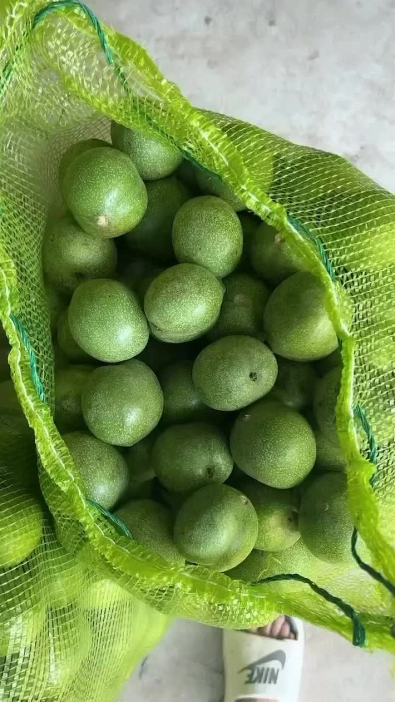 礼品二号青皮核桃上线中