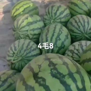 产地大量供应