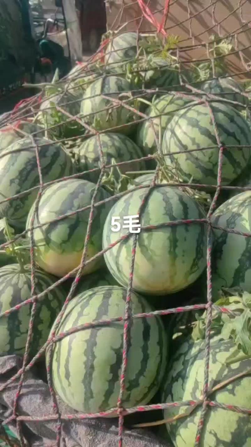 产地大量供应