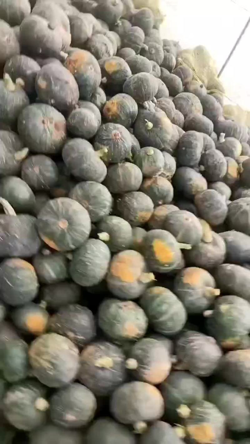 板栗南瓜，货在隆尧