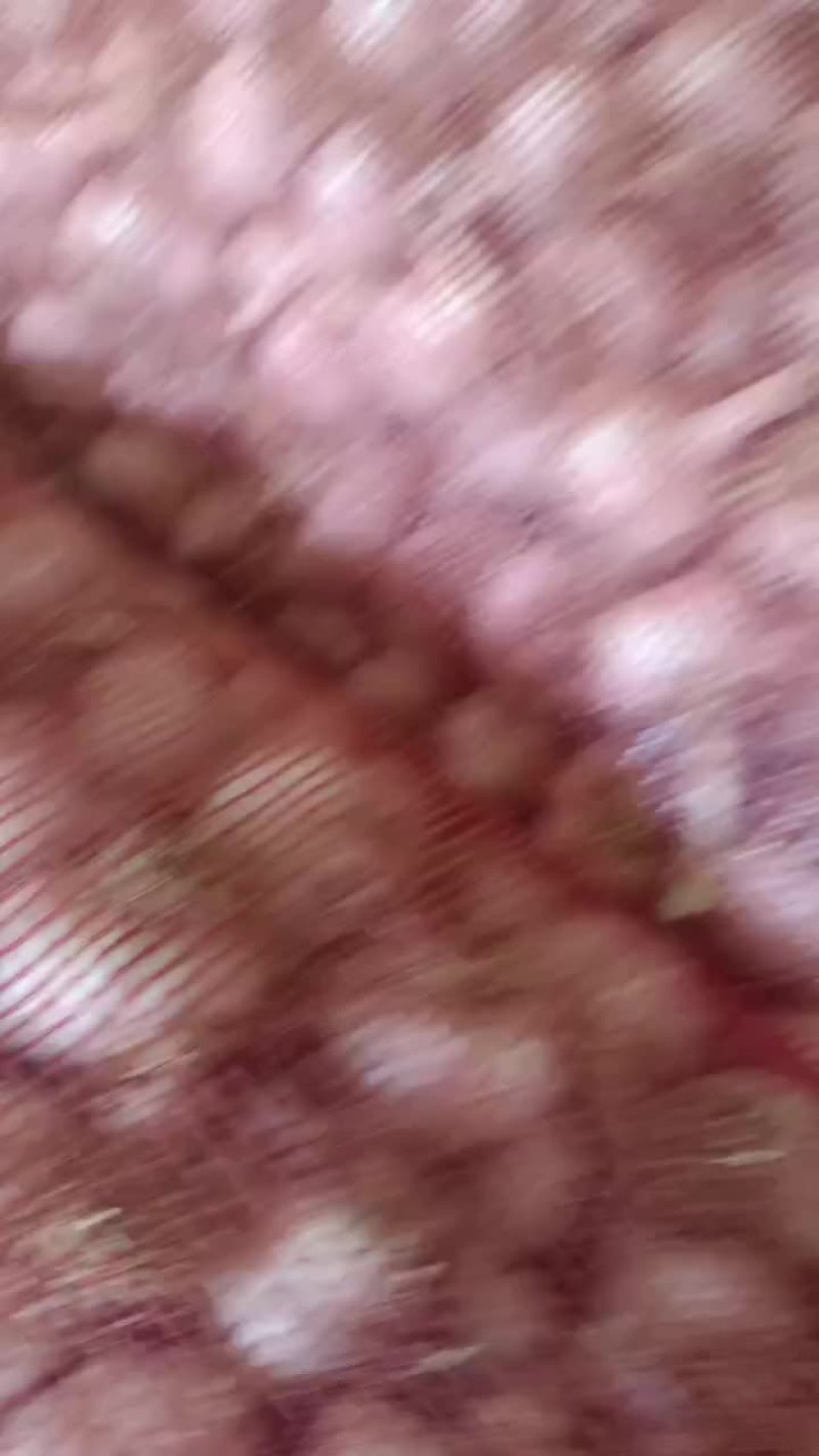 河北大名馆陶交界处紫红皮大蒜，热卖中