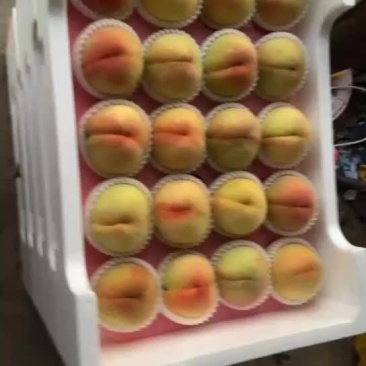 白凤水蜜桃大量上市