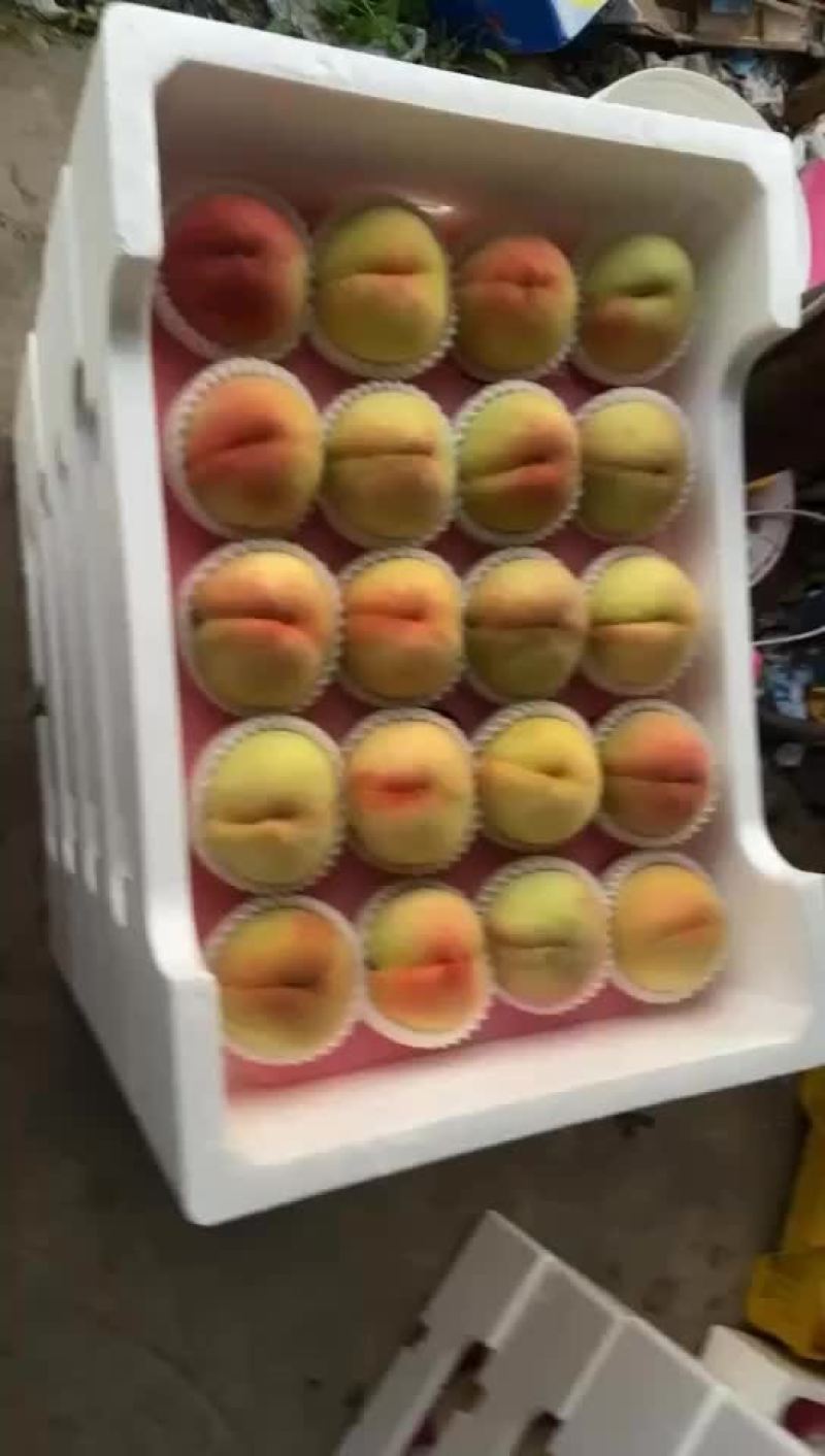 白凤水蜜桃大量上市