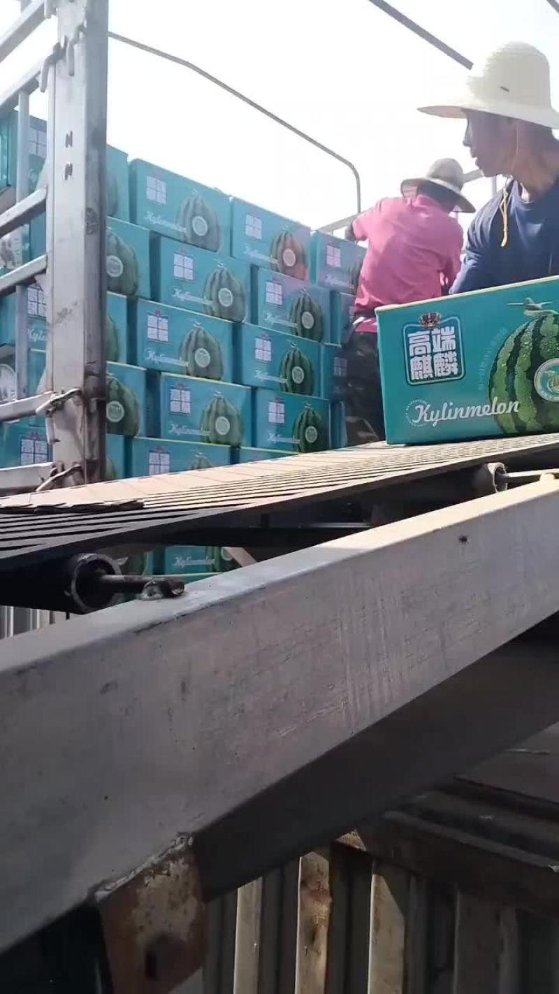 麒麟西瓜