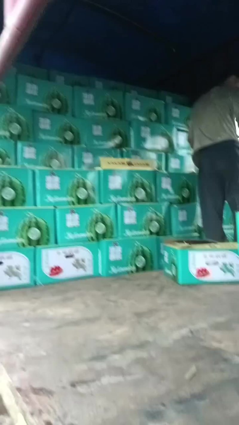 台农美都