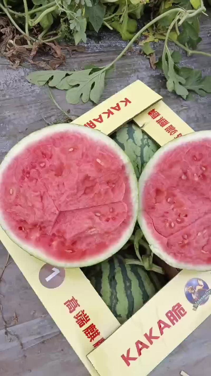 台农美都