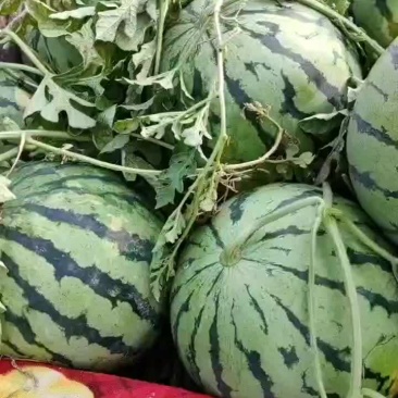 美都