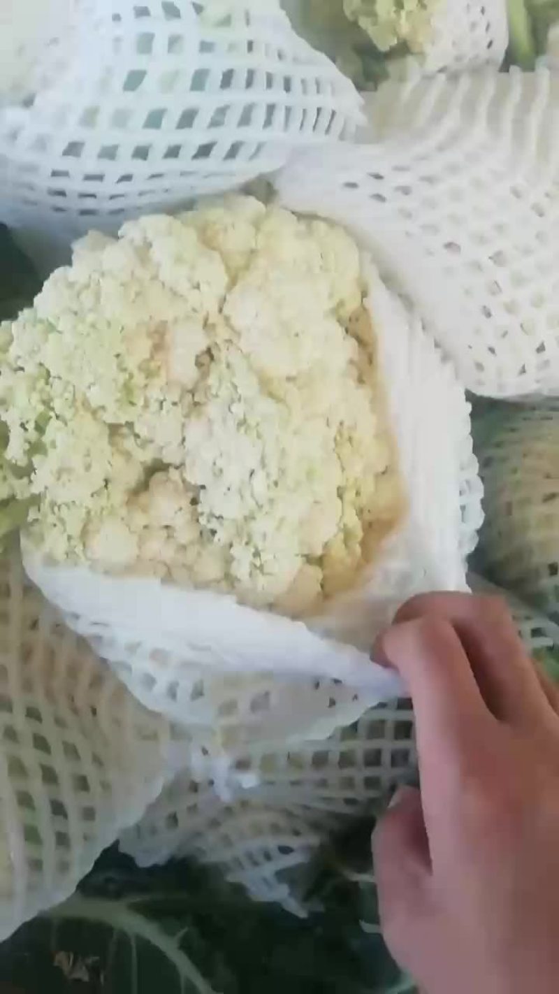 有机散花