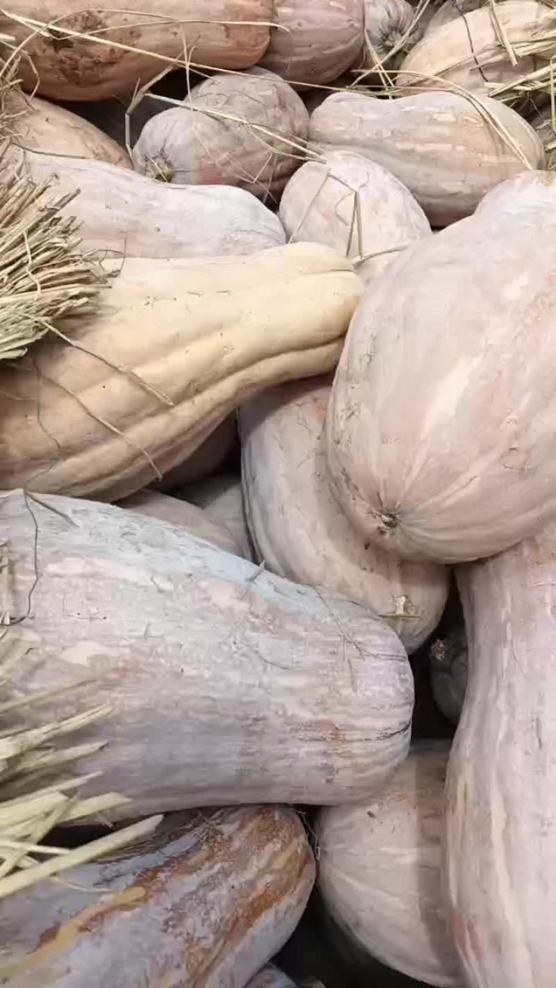 四川精品密本