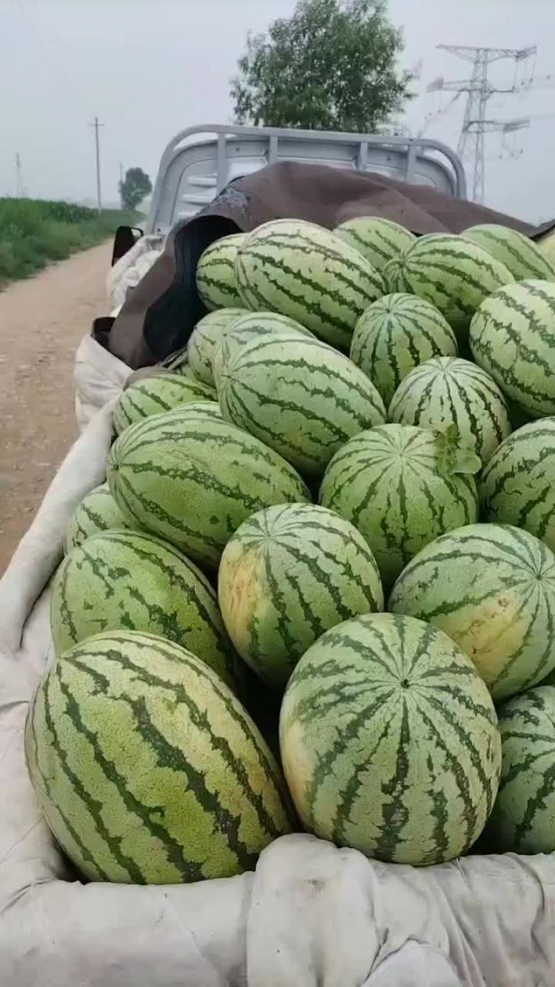 西瓜