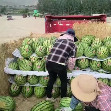 硒砂瓜装车