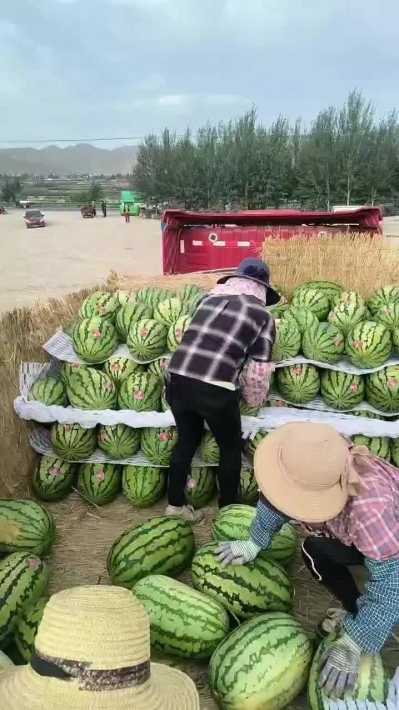 硒砂瓜装车