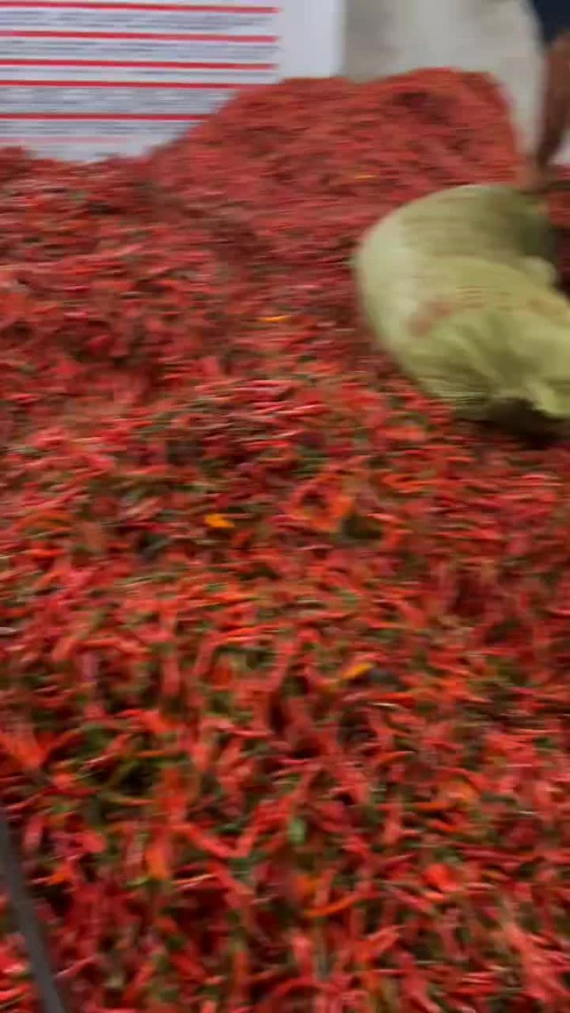 小米椒