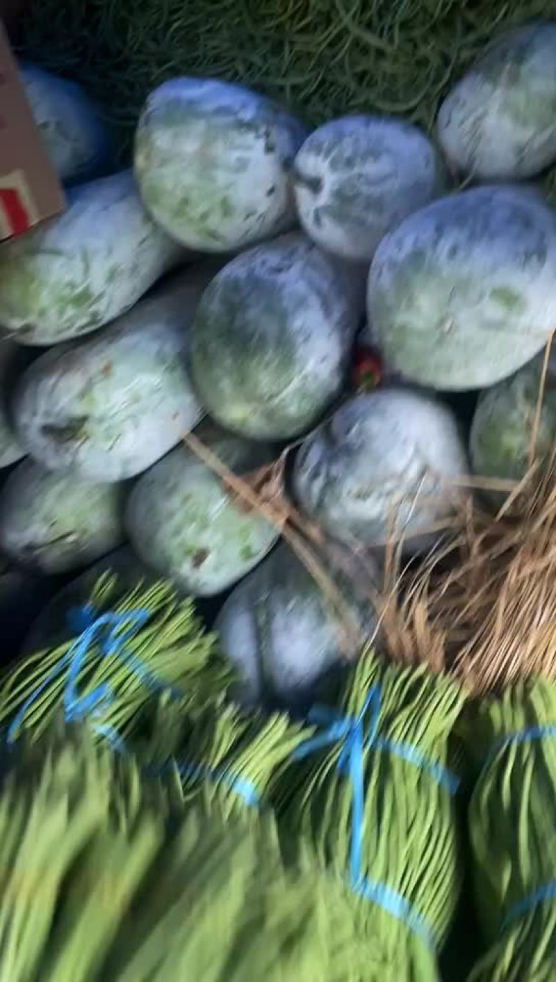 优质冬瓜，保质保量，一手货源