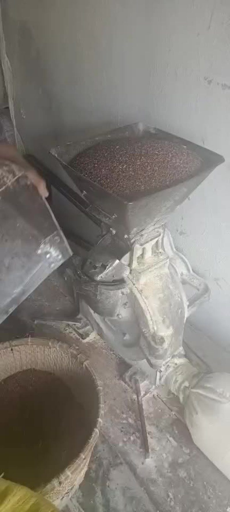 黑麦面