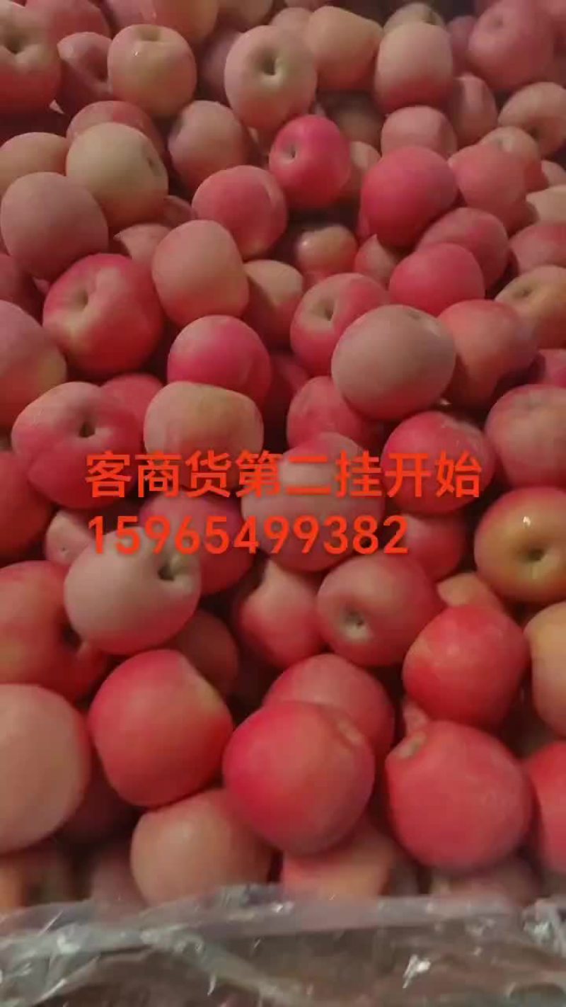 山东红富士苹果，产地直发，山区果子，口感脆甜
