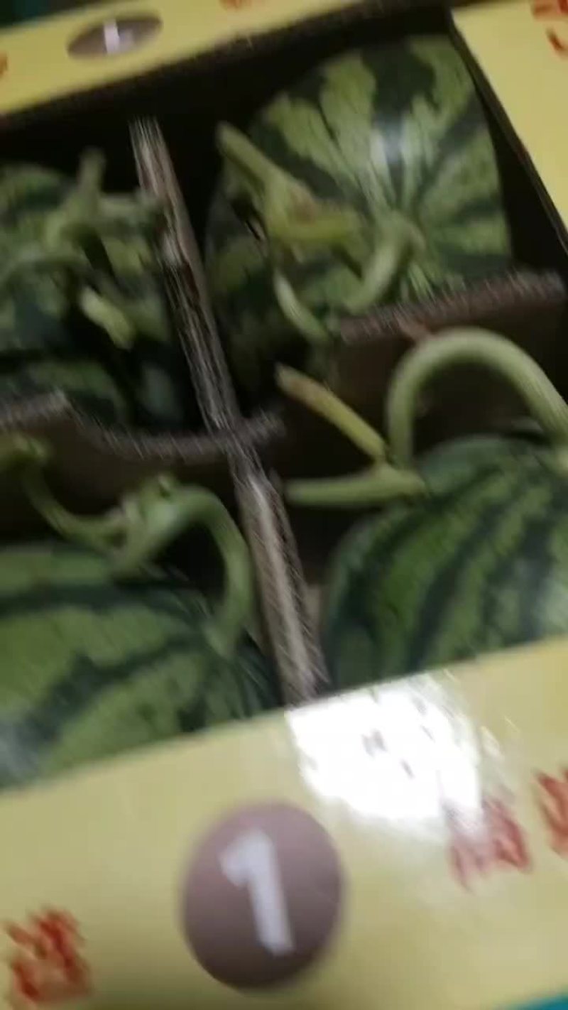 无籽麒麟
