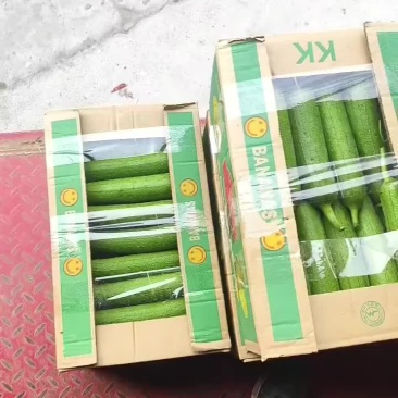 短丝瓜