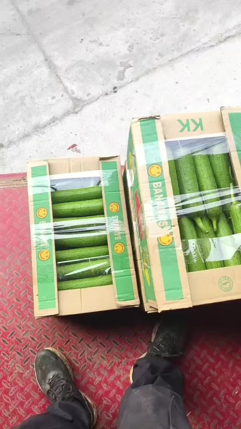 短丝瓜