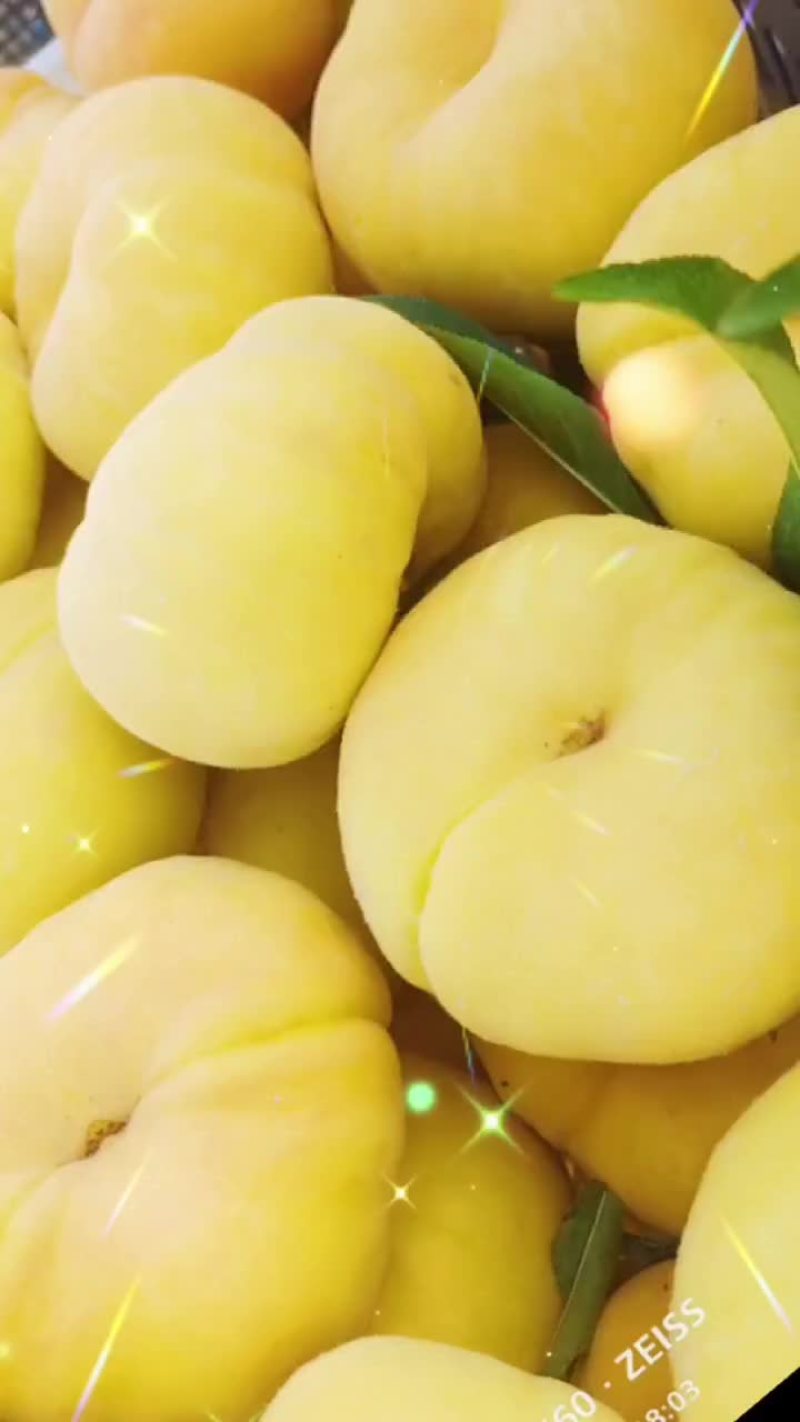代收代发代销代采