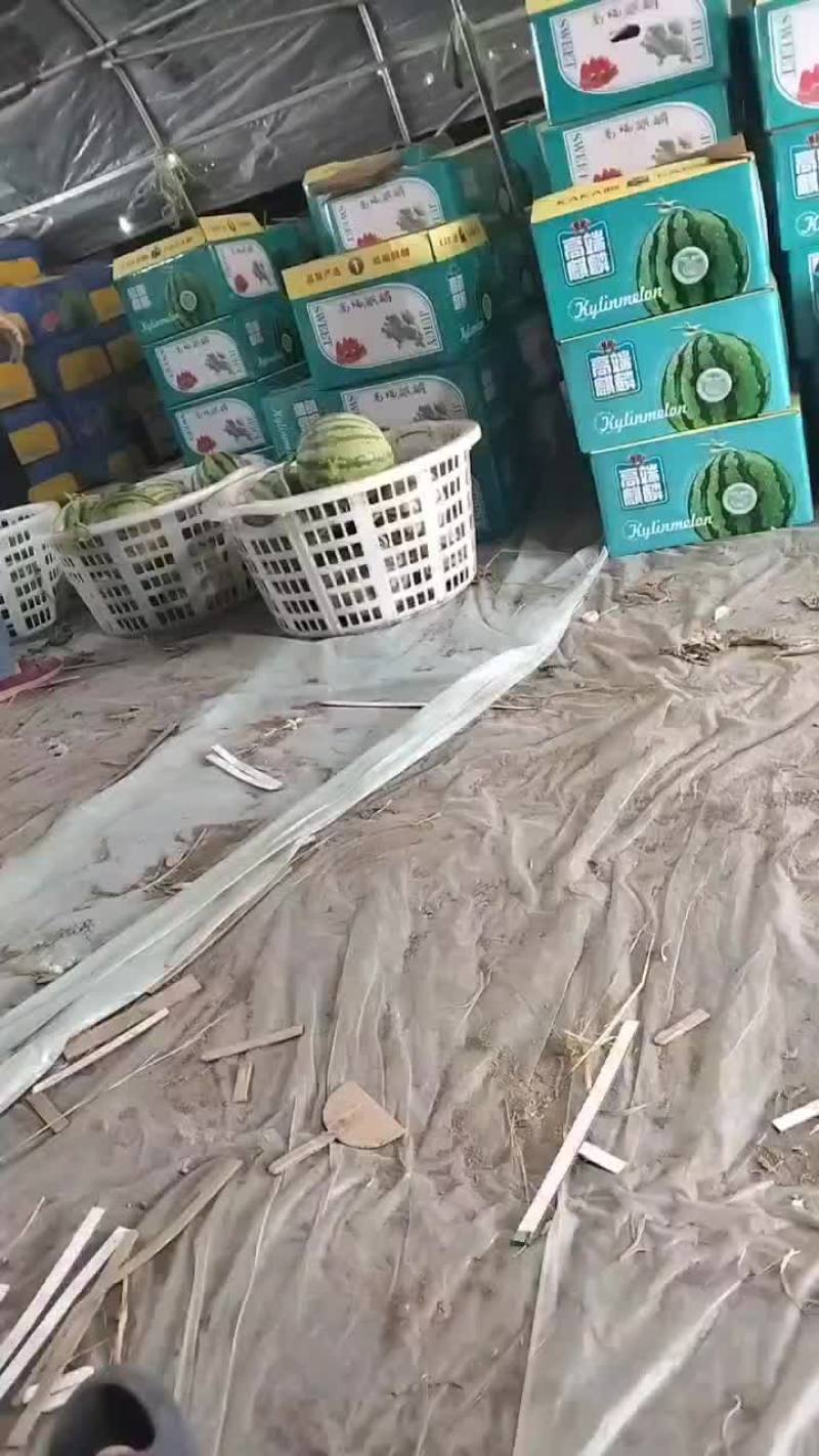 台农种植无籽美都，才上市，精品货可以供货四十天左右