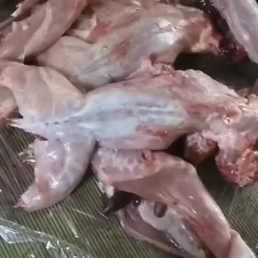 白条兔肉