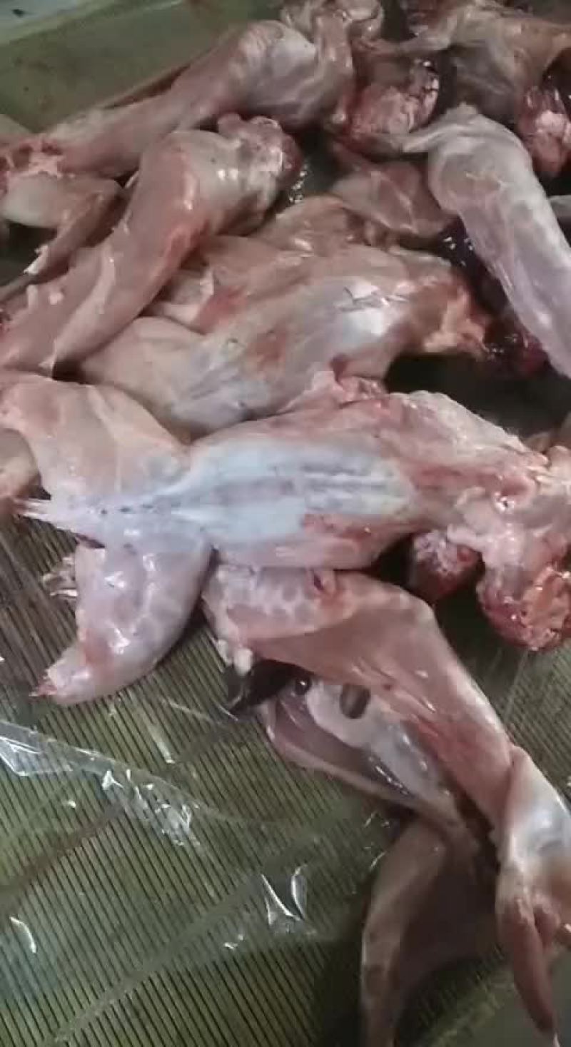 白条兔肉