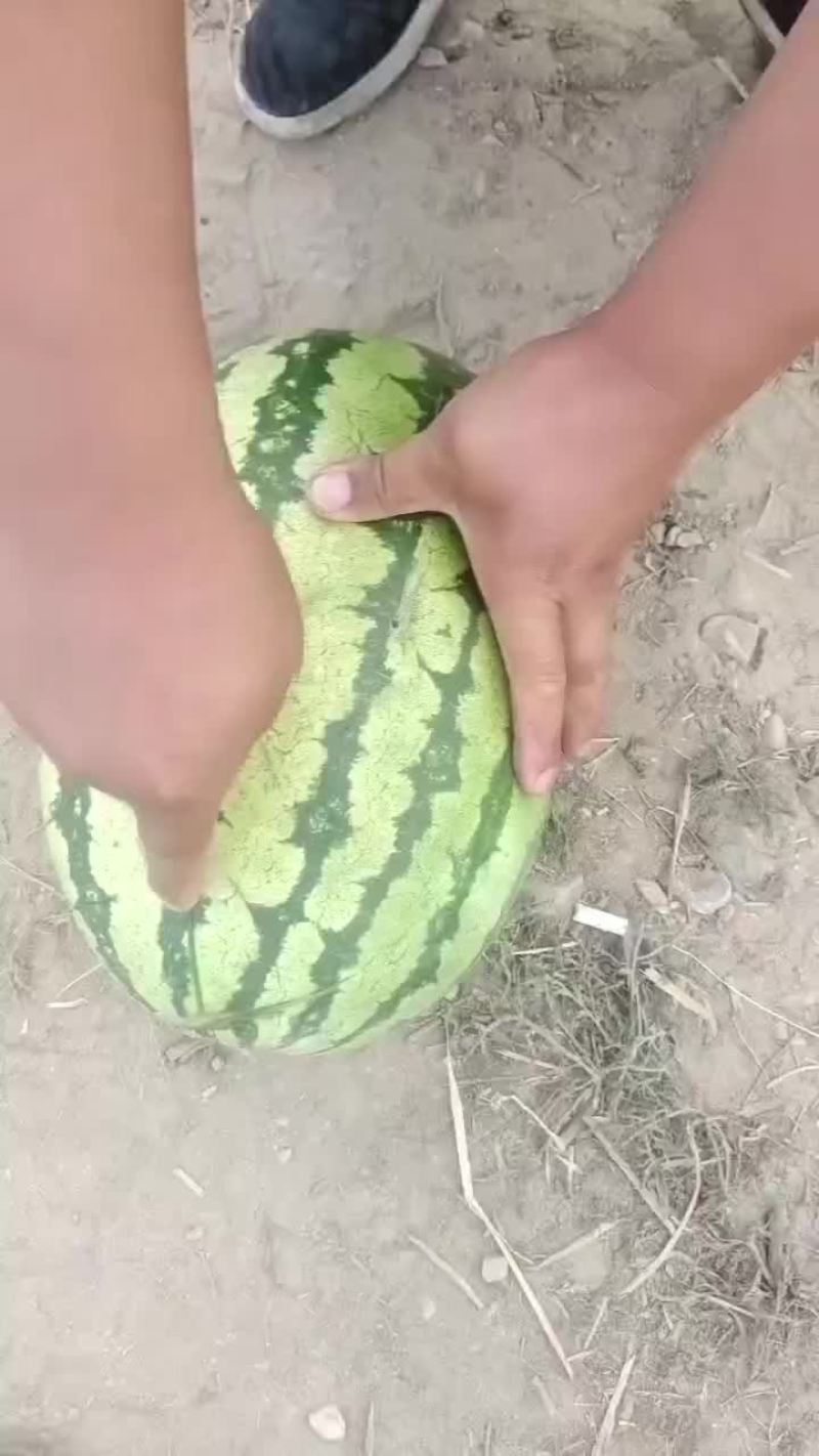 西瓜