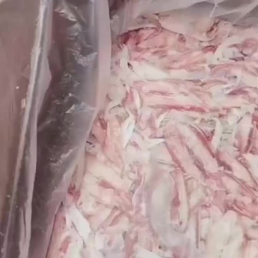 出售鸭唇皮鸭上颚