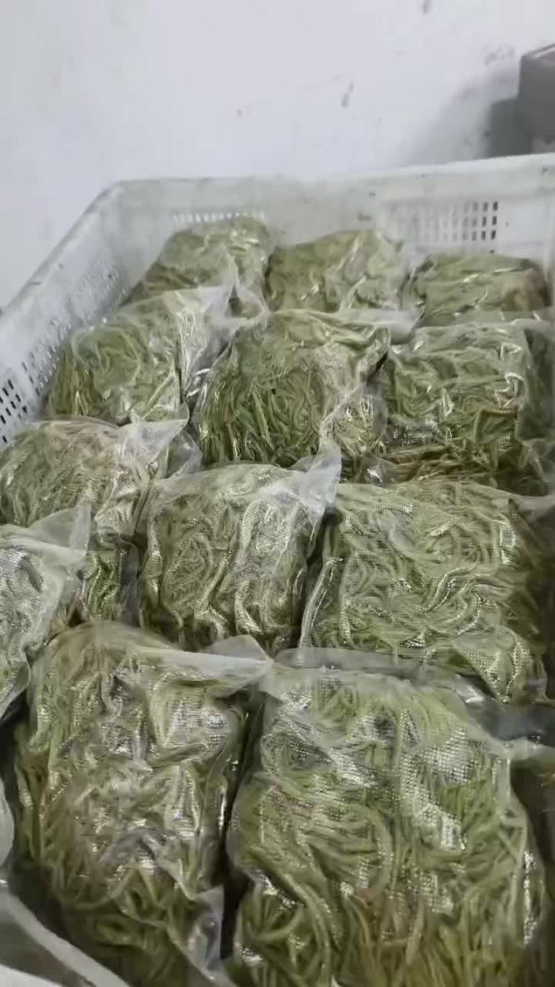 新鲜菱角藤子，炒拌好的菜肴。需要的老板联系我。
