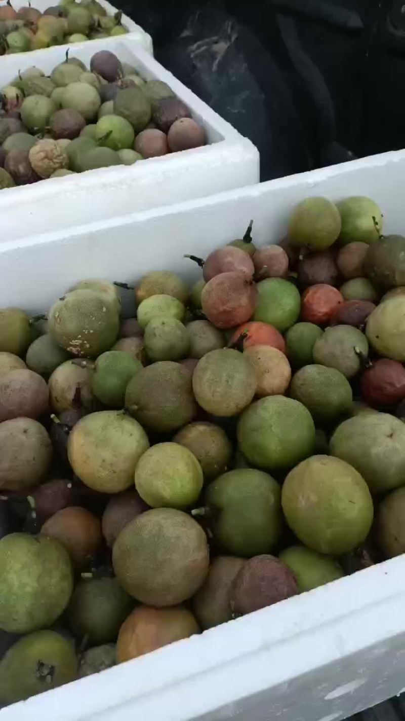 百香果