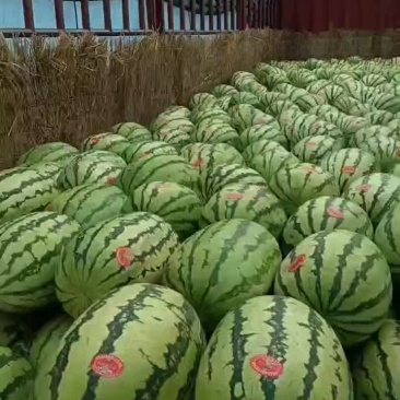 宁夏中卫石头瓜大量现货产地货源充足需要联系主页