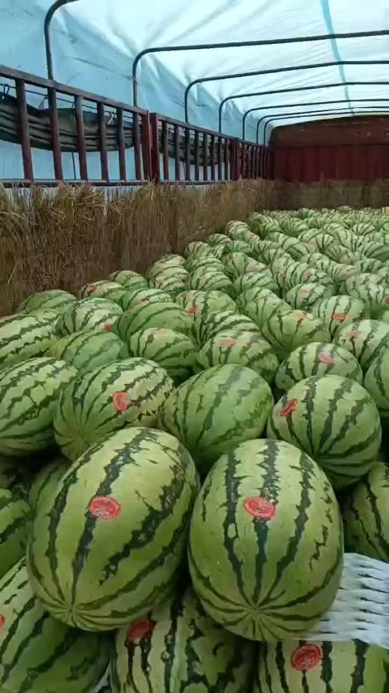 宁夏中卫石头瓜大量现货产地货源充足需要联系主页
