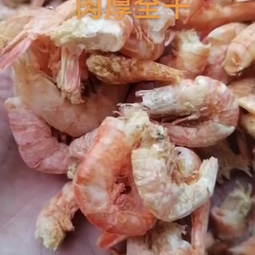 大个无头虾，十成干，
