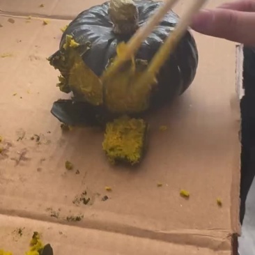 贝贝南瓜接代发货源充足，产地直发，诚信经营，欢迎客商来电
