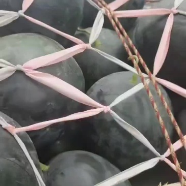 黑无籽