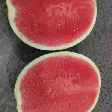黑无子西瓜