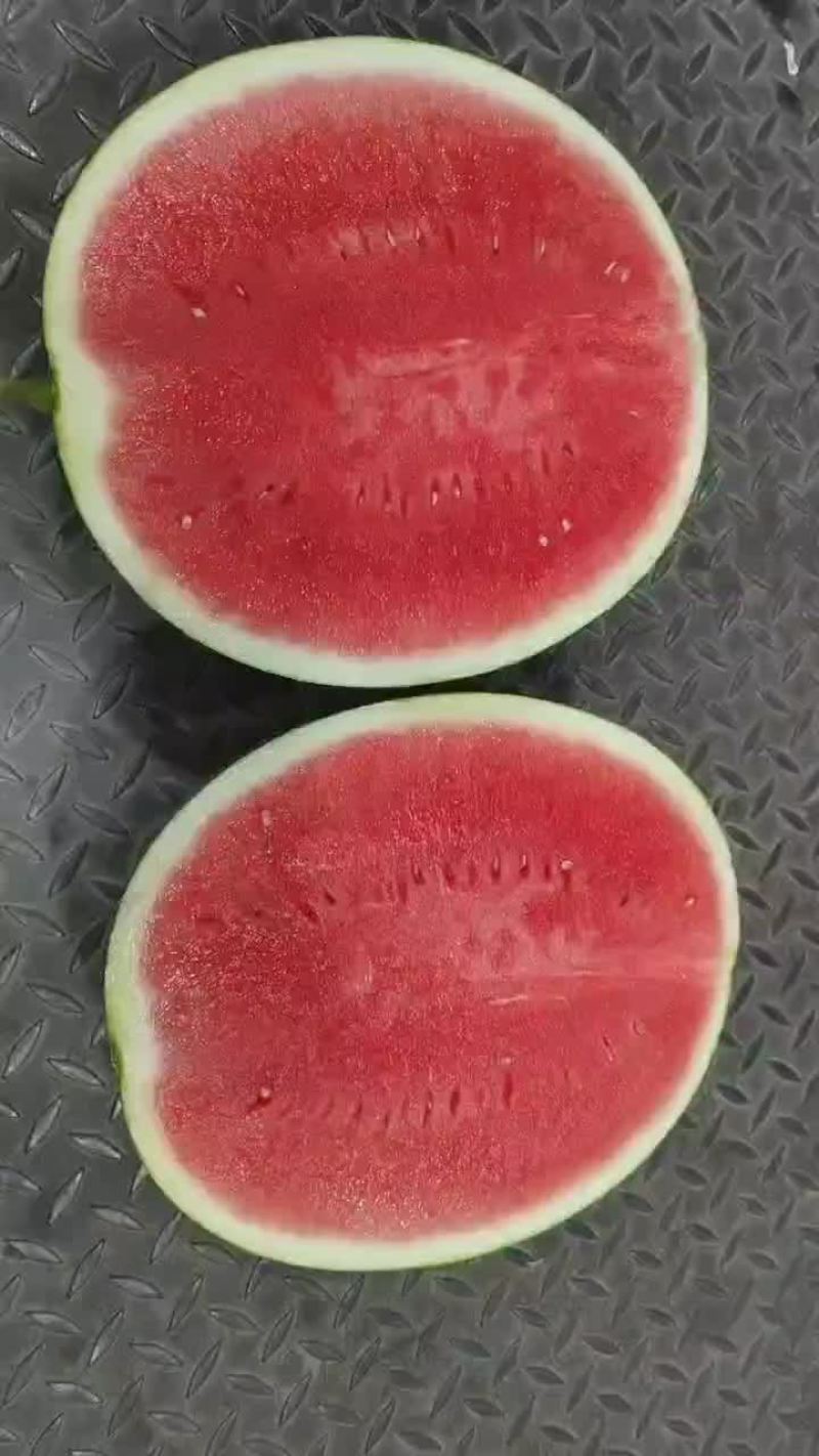 黑无子西瓜