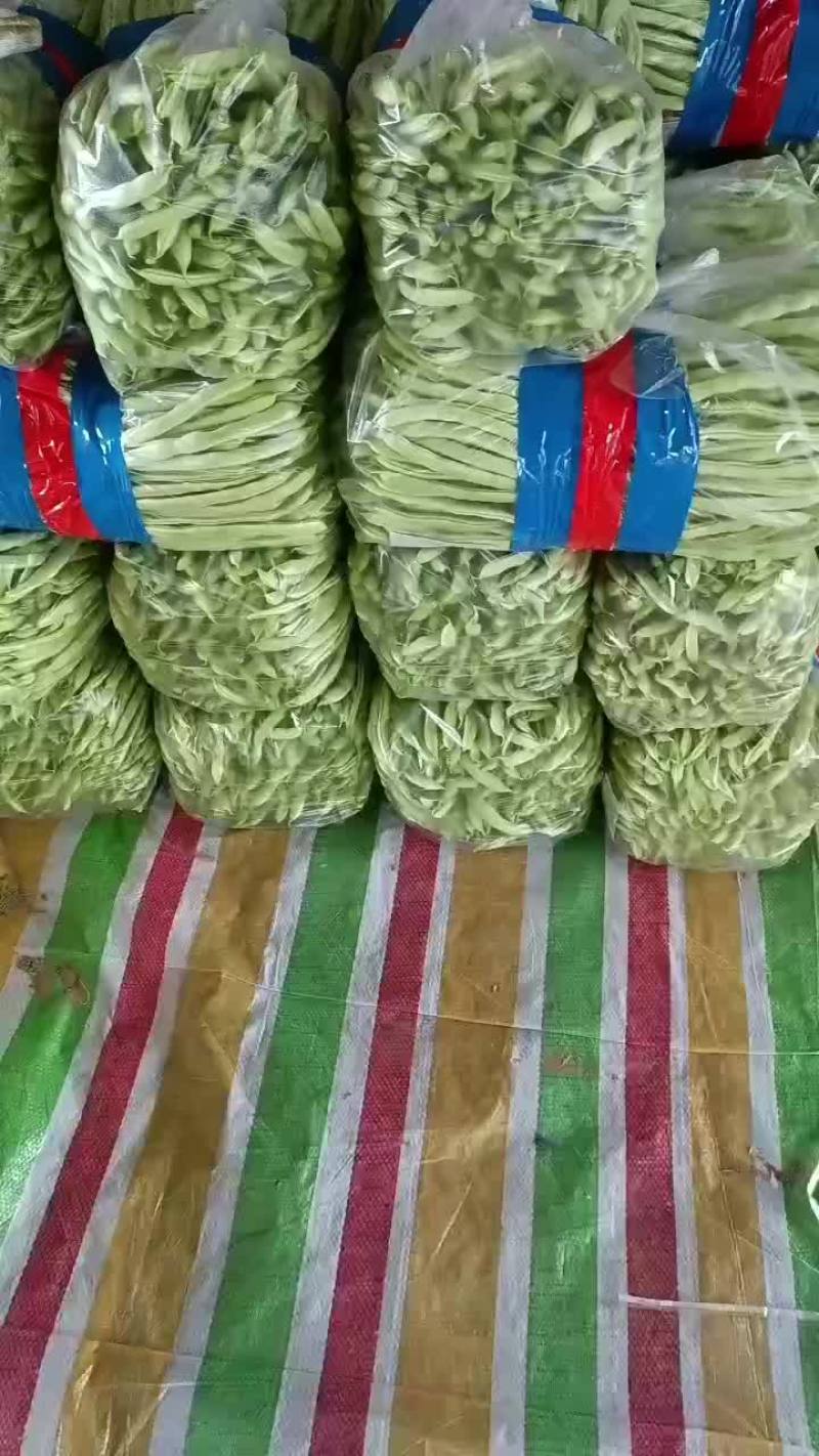 沽源