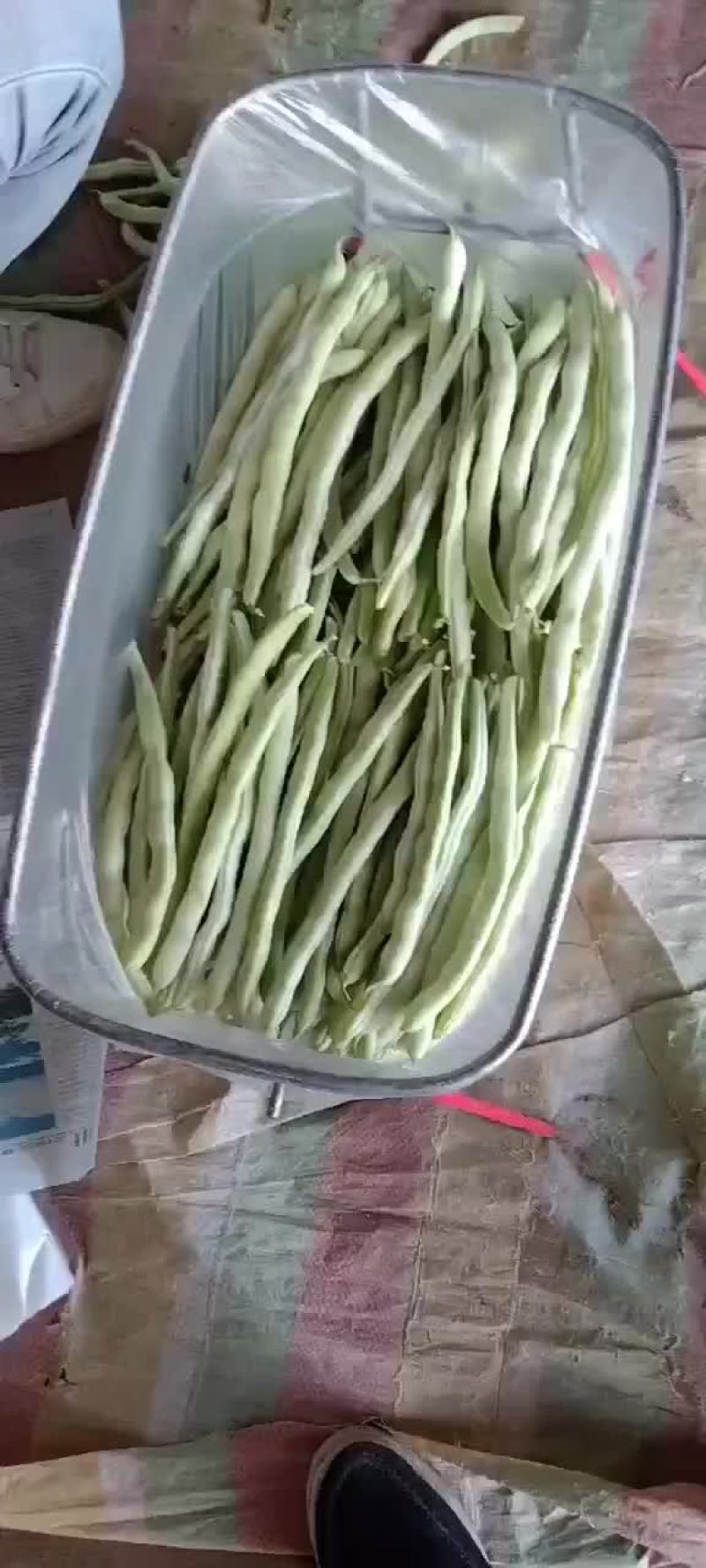 沽源