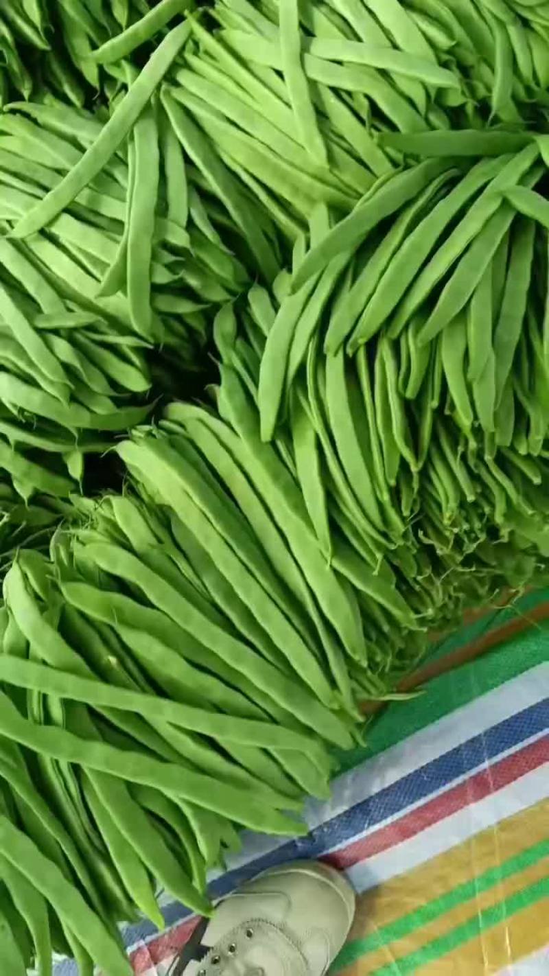 沽源