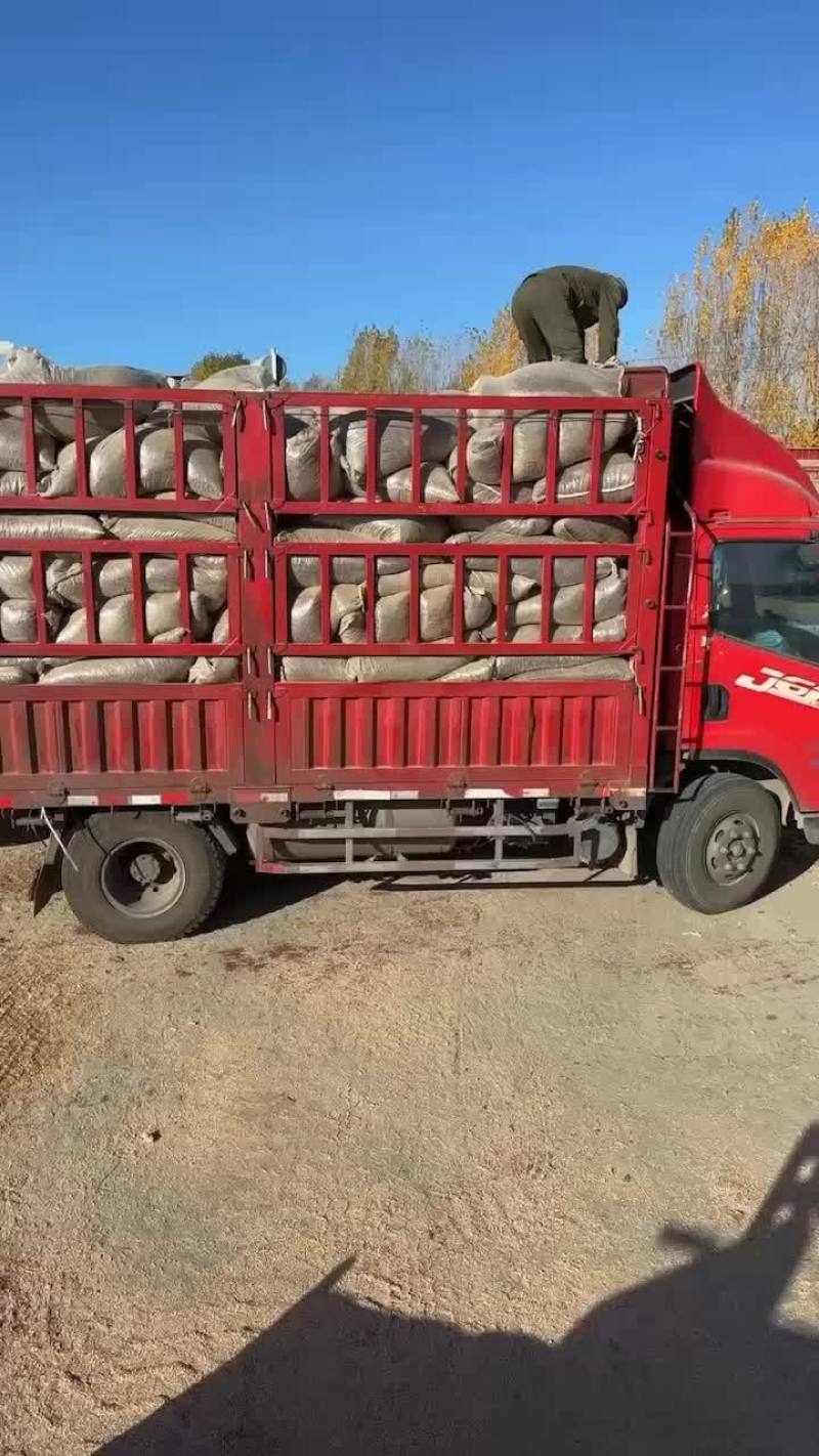牛羊草颗粒，大量供应，产地直发价格优惠，欢迎老板对接