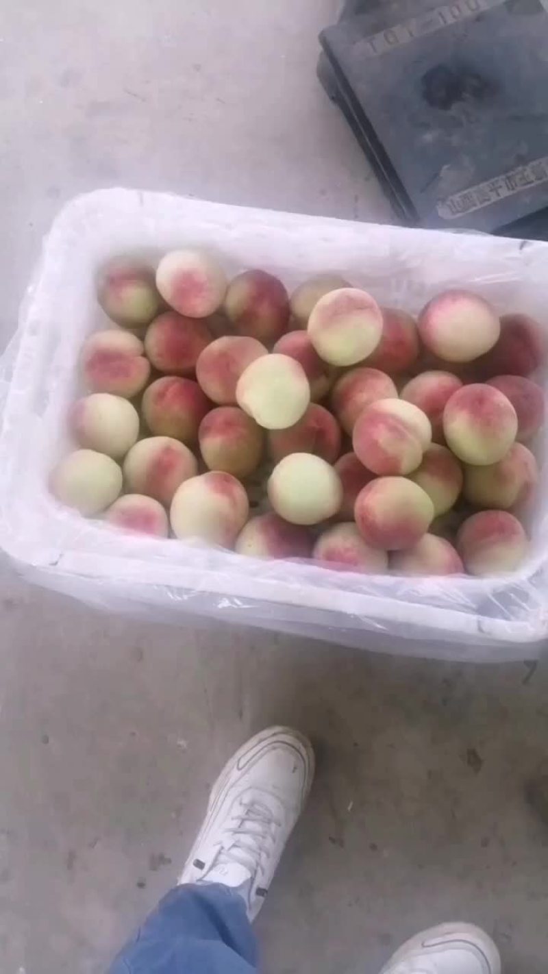 精品红不软