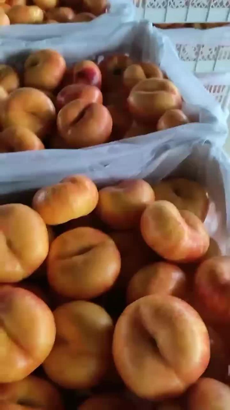 油潘桃