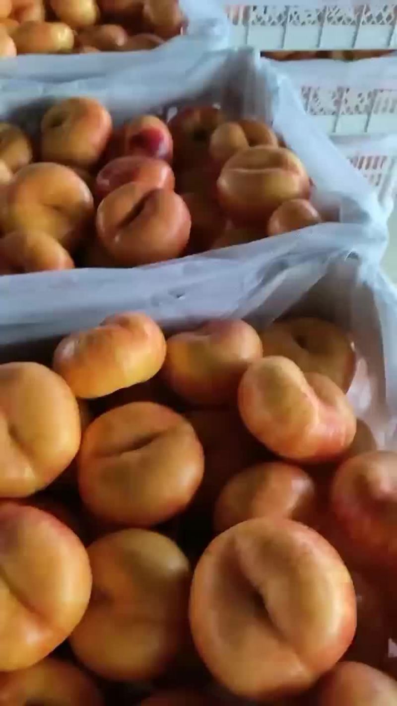 油潘桃