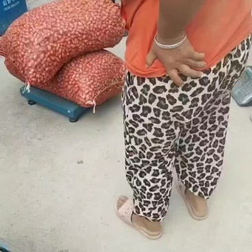 鲜花生