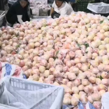 燕川红大量上市了！