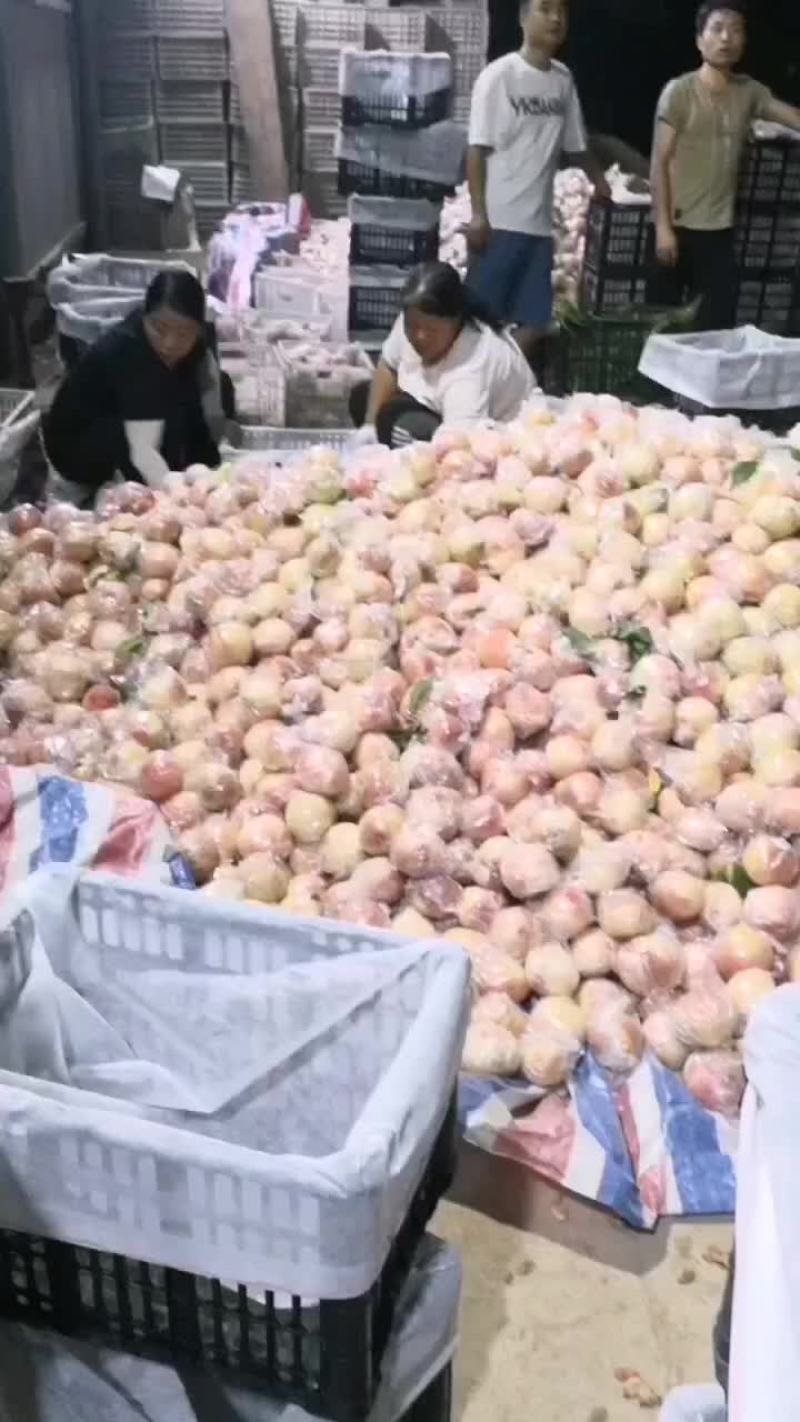 燕川红大量上市了！